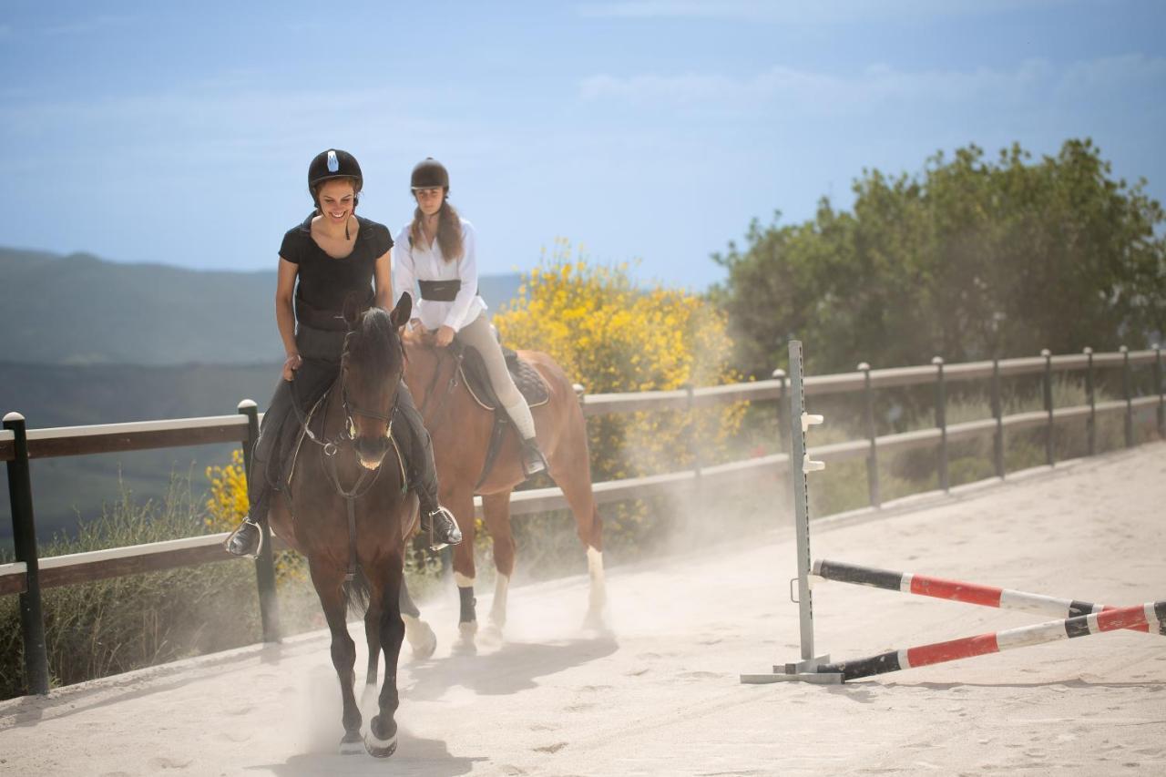 Podere Val D'Orcia - Tuscany Equestrian Sarteano Exteriör bild