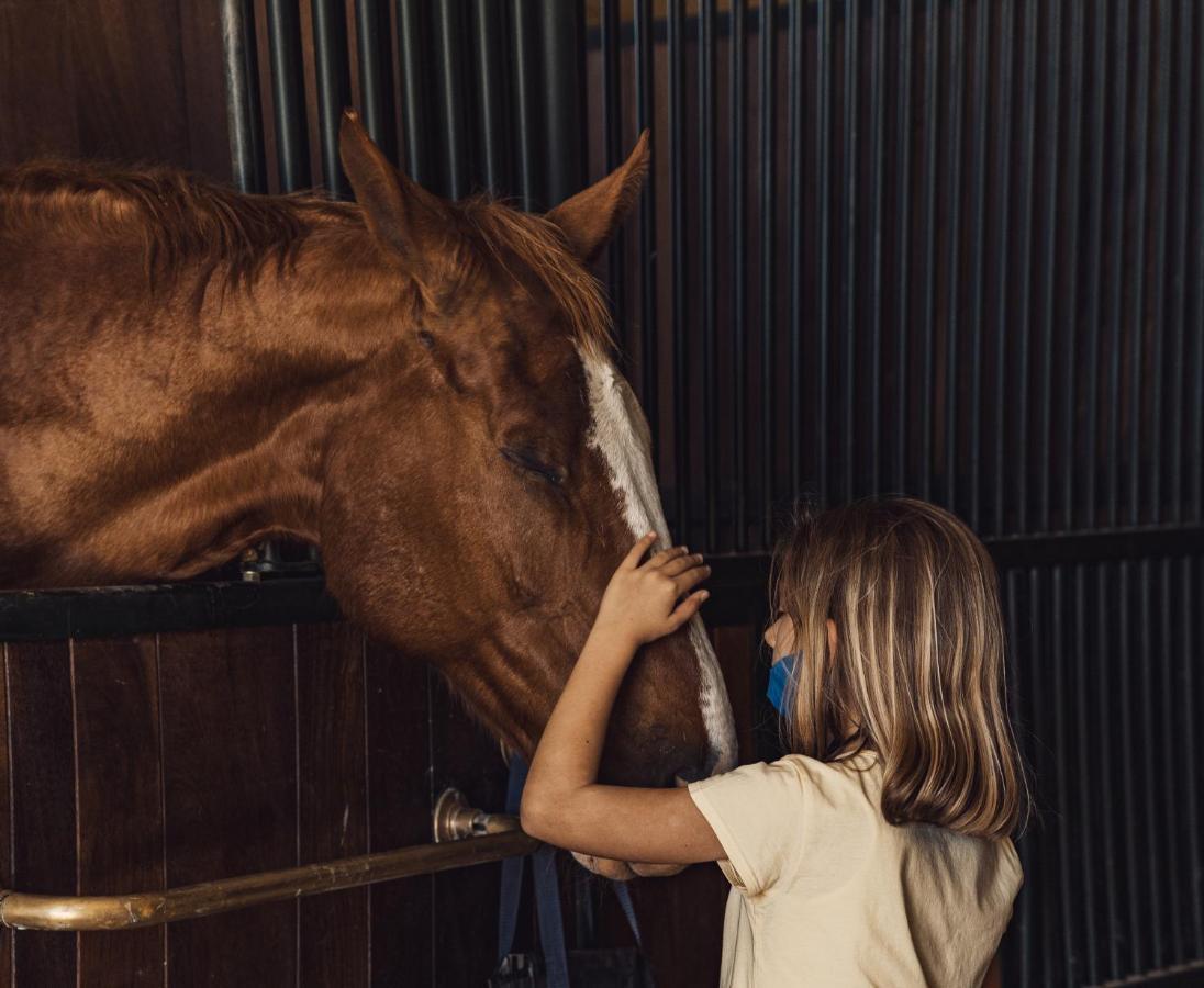 Podere Val D'Orcia - Tuscany Equestrian Sarteano Exteriör bild